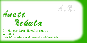 anett nekula business card